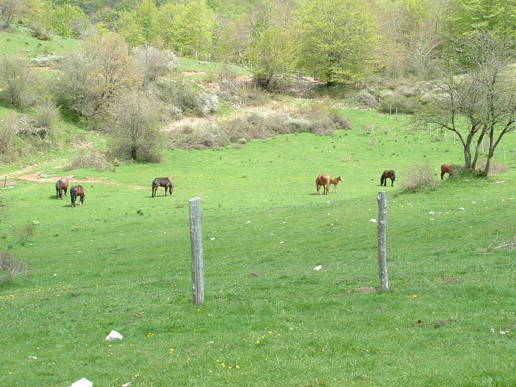 montagna 01- 05-2006 (24)