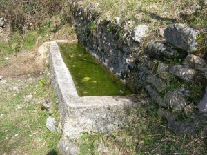 FONTE L'ACERA 02