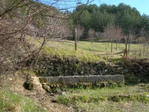 FONTE L'ACERA 03