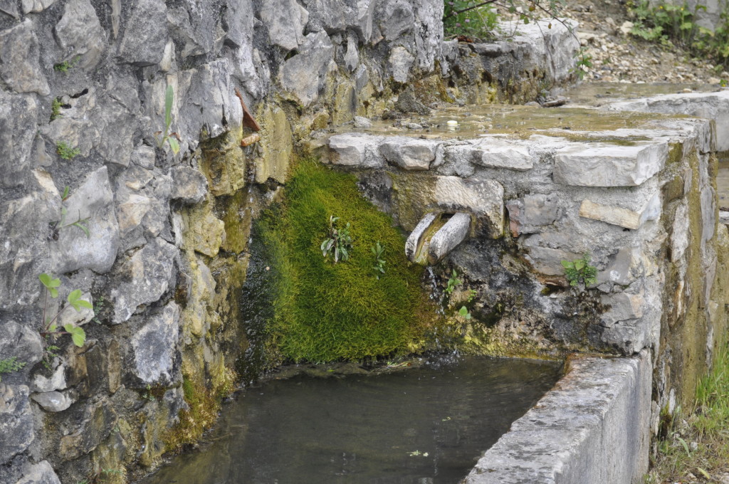 FONTE DEL PERO