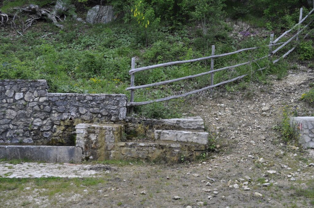 FONTE DEL PERO