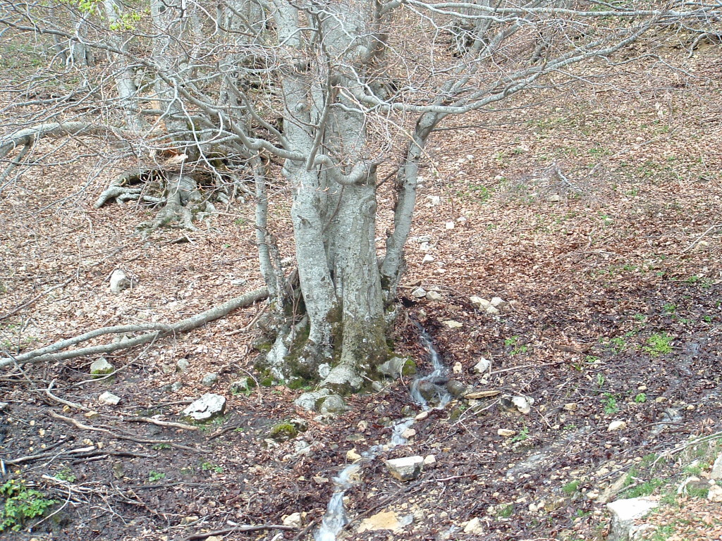 FONTE DEI TRICAGLIOLI